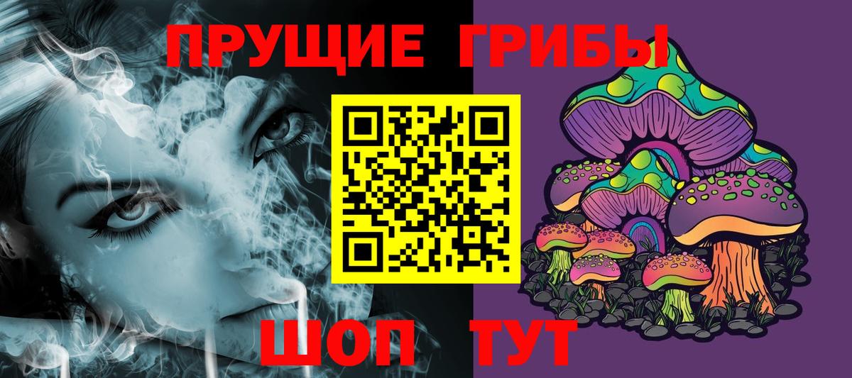 Псилоцибиновые грибы Psilocybe Севастополь