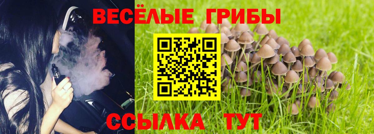 Севастополь  Псилоцибиновые грибы Cubensis  Вход с VPN 